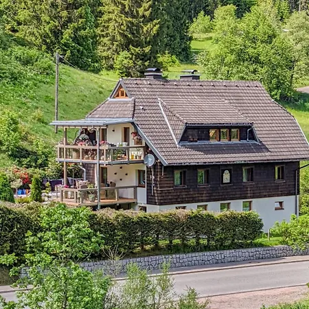Appartement Ehinger By Interhome Eisenbach (Breisgau-Hochschwarzwald)