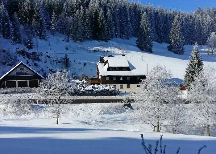 Ehinger By Interhome Appartement Eisenbach (Breisgau-Hochschwarzwald)