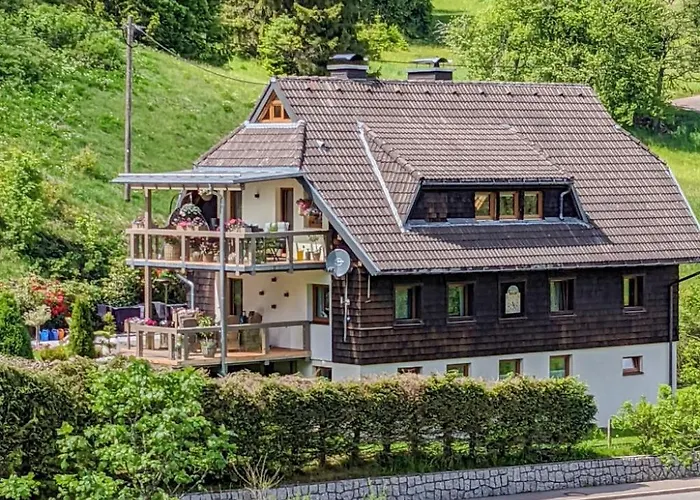 Appartement Ehinger By Interhome Eisenbach (Breisgau-Hochschwarzwald)